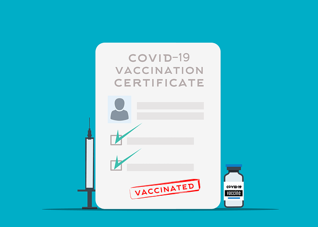 vaccination verification certificate